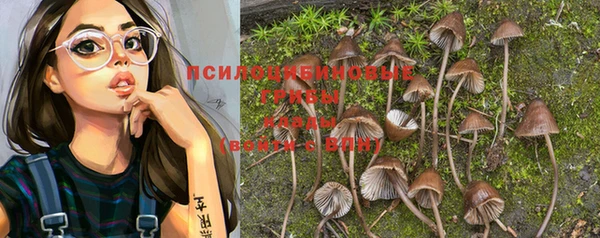 ГАЛЛЮЦИНОГЕННЫЕ ГРИБЫ Богородицк
