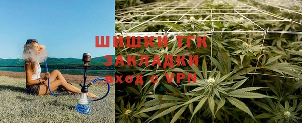 ГАЛЛЮЦИНОГЕННЫЕ ГРИБЫ Богородицк