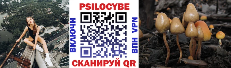 Галлюциногенные грибы Cubensis  omg   Володарск 